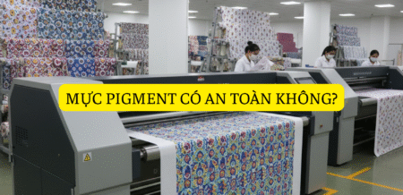 Mực Pigment Có An Toàn Không?